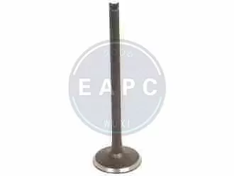 ENGINE VALVE